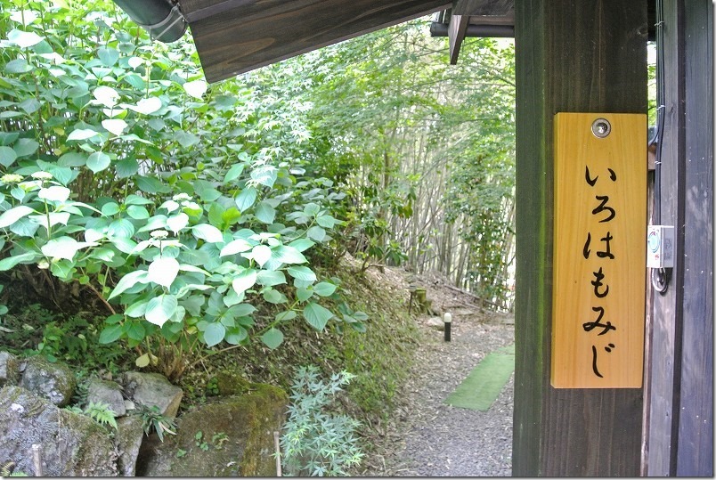 九重町、紅葉谷の湯の家族風呂。露天＋内湯の部屋